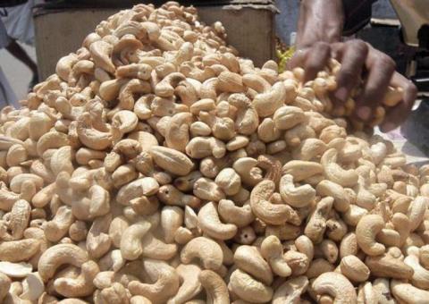 Sekta Ya Korosho Yaendelea Kuinua Kipato Cha Wakulima Na Uchumi Wa Tanzania